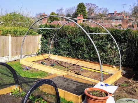 Upcycled Trampoline, Trampoline Upcycle, Recycled Trampoline, Trampoline Ideas, Garden Trampoline, Old Trampoline, Garden Sitting Areas, Veg Garden, Greenhouse Gardening