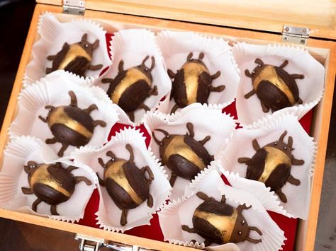 Cocoa Beetles from Zanzibar. Marshmallow fluff filled. Coraline Movie, Coraline Jones, Marshmallow Fluff, Food Themes, Beetles, Coraline, Pretty Food, Cute Food, Chocolate Covered