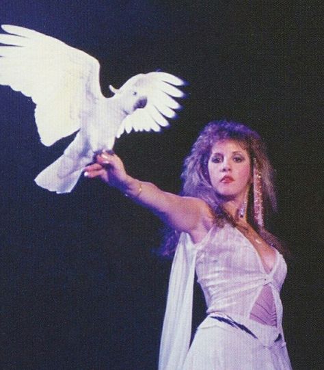 Stevie Stevie Nicks Style, Stephanie Lynn, Stevie Nicks Fleetwood Mac, Women Of Rock, Musica Rock, Witchy Woman, Stevie Nicks, Fleetwood Mac, Look Cool