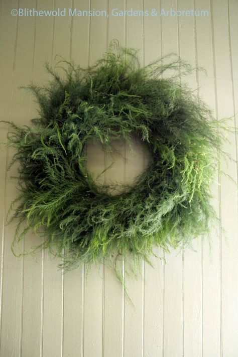 Dried Asparagus Fern, Asparagus Fern Arrangement, What To Do With Asparagus, Fern Arrangements, Herb Wreaths, Fern Wreath, Wreath Workshop, Herb Wreath, Dried Wreath