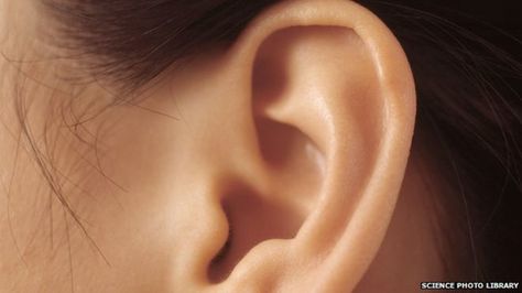 Locating objects using echoes 'needs two good ears' How To Pop Ears, Outer Ear, Surgery Doctor, Neck Surgery, Complementary Medicine, Cerebrospinal Fluid, Ear Health, Sinus Infection, Ear Wax