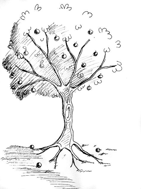 Fruit Tree Sketch, Apple Tree Drawing Simple, Tree Simple Drawing, Apple Tree Sketch, Apple Tree Drawing, Cider Label, Tree Drawing Simple, Apple Plant, Drawing Apple