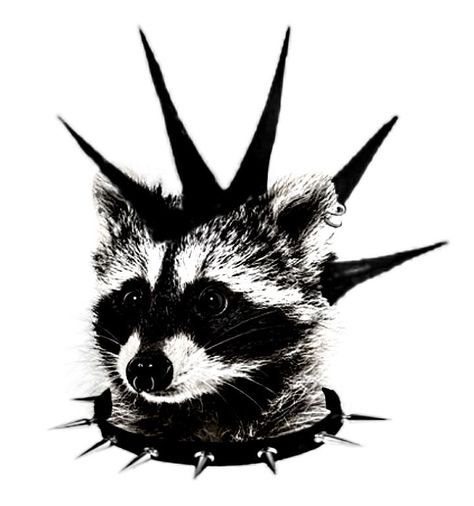 Raccoon Drawing Reference, Emo Raccoon, Punk Raccoon, Raccoon Aesthetic, Raccoon Pfp, Racoon Art, Punk Pfp, Cool Raccoon, Punk Dog