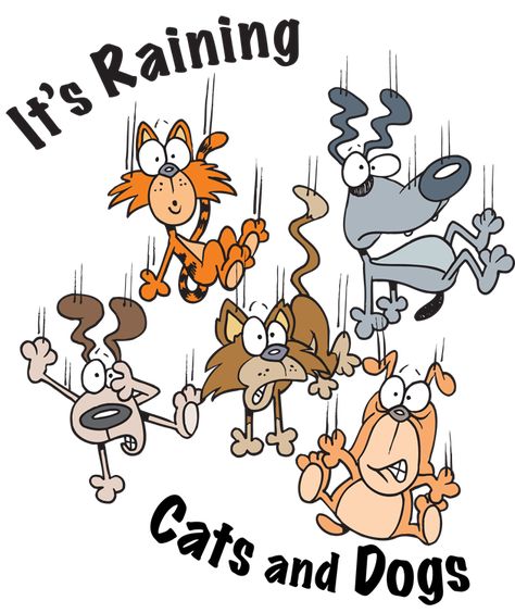 It's Raining Cats and Dogs here!! - Mommies Reviews Cold Weather Funny, It's Raining Cats And Dogs, Good Morning Rainy Day, Dog Clip Art, Dogs Laughing, Good Morning Funny Pictures, Cat Humor, Cat Jokes, Raining Cats And Dogs