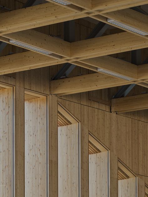 Atelier Zündel Cristea , Sergio Grazia · Gymnase Neudorf Timber Architecture, Timber Buildings, Wood Architecture, Ceiling Detail, Timber Structure, Timber Construction, Wood Structure, Concrete Wood, Structure Architecture