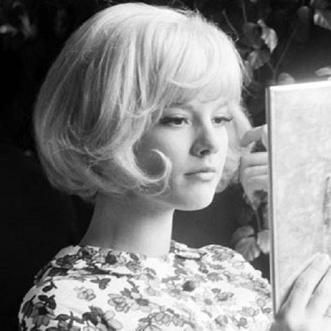 French Bob Hairstyles, vintage 60s styles, haircuts, hairstyles 1960s Short Hairstyles, 60s Bob, Vintage Short Hair, Wedding Curls, 1960s Hair, 60s Hair, Haircut Blonde, Sylvie Vartan, Vintage Bob