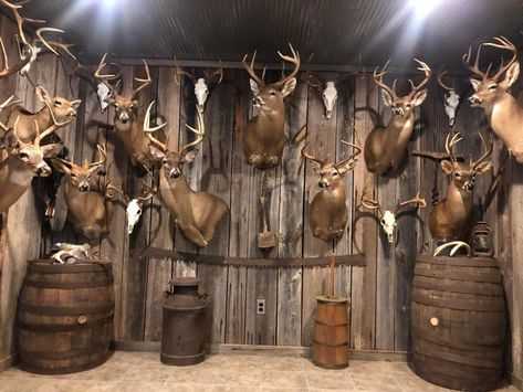 Trophy Rooms Hunting, Hunting Rooms, Hunting Room Decor, Deer Mount Decor, Deer Mount Ideas, Antler Mounts, Hunting Man Cave, Deer Hunting Decor, Hunting Shack