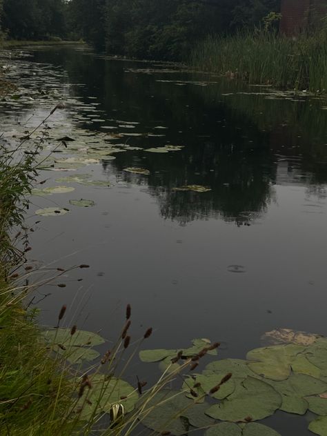 Lake Green Aesthetic, Green Lake Aesthetic, Green Water Aesthetic, Dreamlike Photography, Vines Aesthetic, Lake Aesthetics, River Aesthetic, Swamp Water, Cottagecore Academia