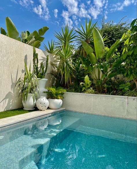 Pool Area Landscaping, Pool Ideas For Small Yards, Ideas De Piscina, Ideas For Small Yards, Backyard Pool Design, Pool Plants, Pools For Small Yards, Dream Backyard Pool, Outdoor Pool Area