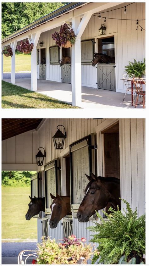 Horse Stall Aesthetic, Beautiful Horse Stables, Horse Stall Design, Horse Boarding Facility Ideas, Bloxburg Farm Ideas, Small Stall Design, Farm Yard Ideas, Run In Shed For Horses, Horse Barns Ideas