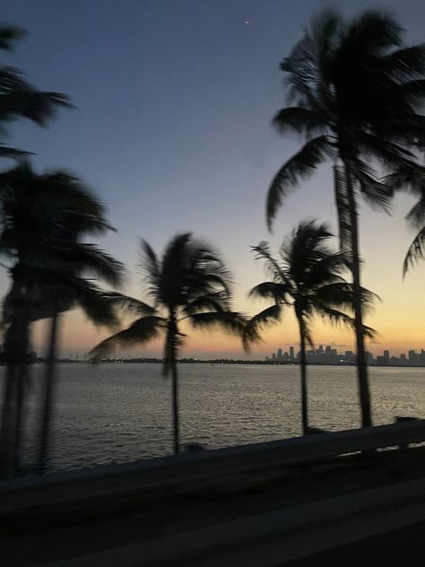 Miami Beach Pictures, Brickell Miami, Miami Sunset, Miami Girls, Miami Night, Ocean At Night, Beach Icon, Beach At Night, Aesthetic City