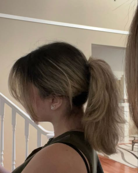 Layered Haircut In Ponytail, Messy Brown Ponytail, Medium Length Haircut Ponytail, Layered Hair Ponytail Medium, Layers In Ponytail, Wolfcut In Ponytail, Ponytail With Layered Hair, Layered Hair In A Ponytail, Wolf Cut In A Ponytail