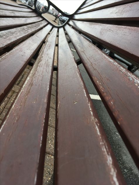 Line - I really like this picture as the vertical lines made by the wooden planks of the bench leads the viewer through the foreground and into the background. Lead Lines Photography, Vertical Lines Photography, Medical Projects, Idea Photography, Vertical Angles, Leading Lines, Line Photography, Line Photo, Follow The Leader