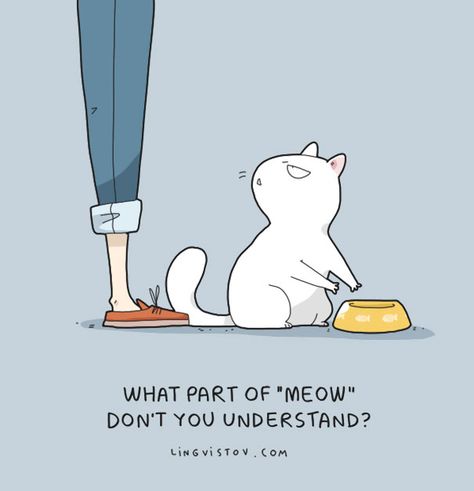 Animal Comic Katt Diy, Katt Grejer, Koci Humor, Cat Comics, Image Chat, Cat Quotes, Cats Meow, American Horror Story, Crazy Cat Lady