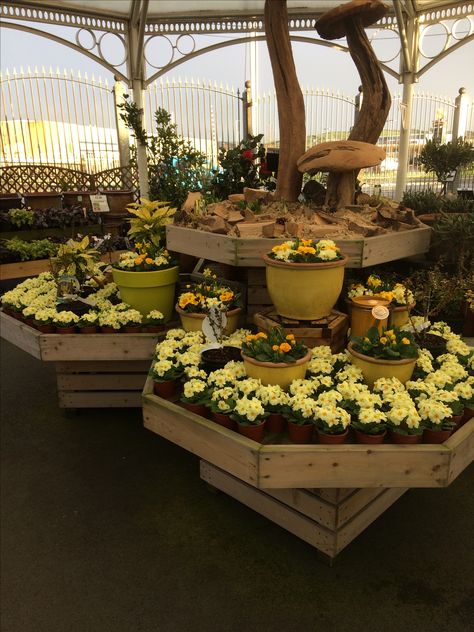 Greenhouse Inspiration, Garden Center Displays, Spring Display, Pottery Display, Yellow Springs, Garden Nursery, Center Ideas, Pollinator Garden, Garden Centre