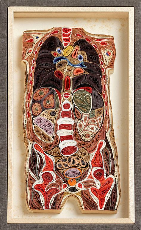 Lisa Nilsson interior body out of paper quilling cool paper art grays anatomy style Human Anatomy Art, Medical Art, Gcse Art, A Level Art, Ap Art, Quilling Art, Arte Popular, Anatomy Art, Science Art