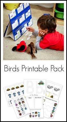 B Is For Bird, Birds Preschool, Birds Printable, Montessori Printables, Sight Word Cards, Kindergarten Skills, Homeschool Board, Bird House Kits, Spring Preschool