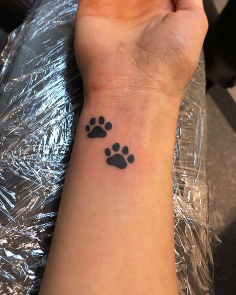 Cotton Tattoo, Cat Paw Tattoos, Tattoos Dog, Pet Tattoos, Dog Memorial Tattoos, Pawprint Tattoo, Dog Paw Tattoo, Tattoos Arm, Saved Tattoo