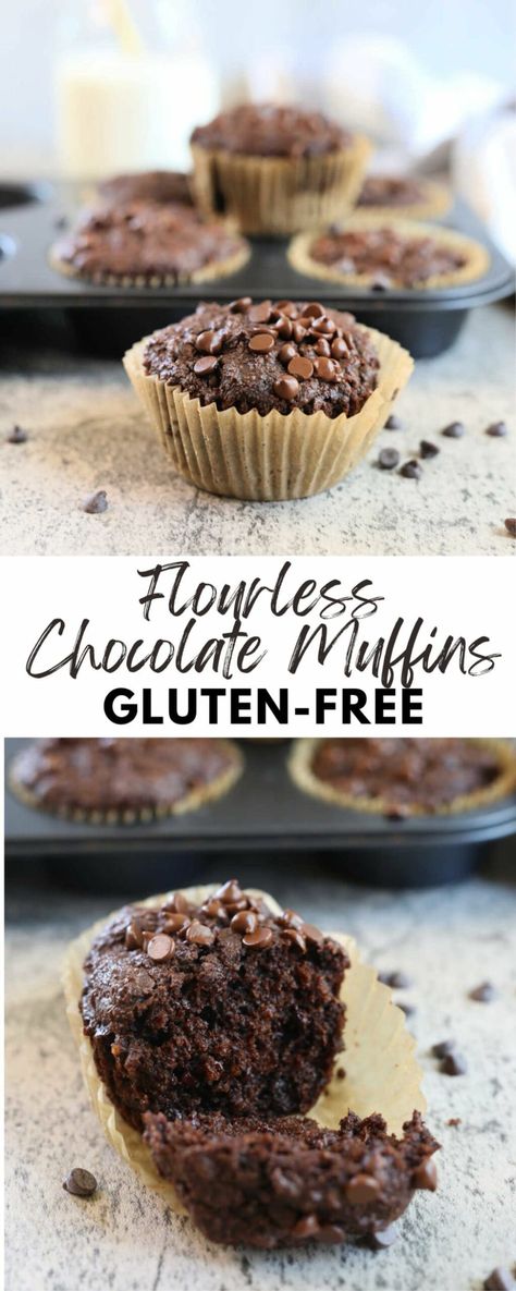 Chocolate Yogurt Muffins, Flourless Chocolate Muffins, Glutenfree Muffins, Gluten Free Chocolate Chip Muffins, Gluten Free Chocolate Muffins, Flourless Muffins, Healthy Chocolate Muffins, Gluten Free Chocolate Cupcakes, Oatmeal Chocolate Chip Muffins