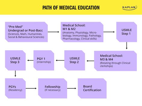 How Long Does It Take to Become a Doctor? - Kaplan Test Prep How To Become Doctor, How To Become A Doctor, Doctor Education, Medicine School, Become A Doctor, Care Symbol, Avengers Drawings, Medical Student Motivation, Medical Laboratory Science