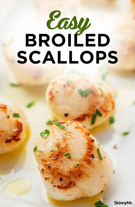 Healthy Scallop Recipes, Broiled Scallops Recipe, Broiled Scallops, Scallop Recipes Healthy, Easy Scallop Recipes, Baked Scallops, Seafood Platter, Scallop Recipes, Baked Vegetables