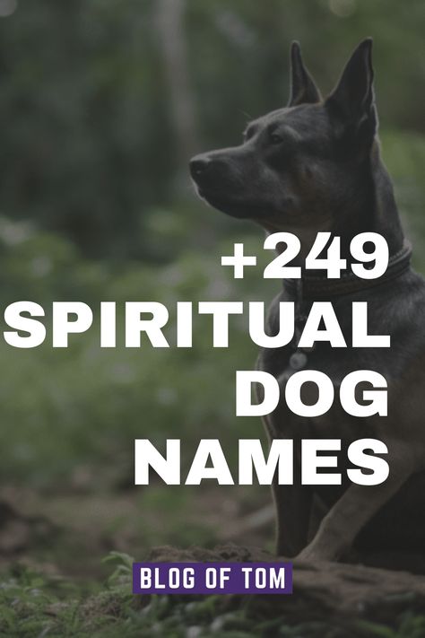 We’ve compiled a list of 249+ spiritual dog names that covers a wide range of preferences including unique, cute, catchy ideas! Goth Dog Names, Witchy Dog Names, Boho Dog Names, Male Dog Names List, Unique Pet Names, Rare Dog Names, Aesthetic Dog Names, Unique Dog Names, Black Dog Names