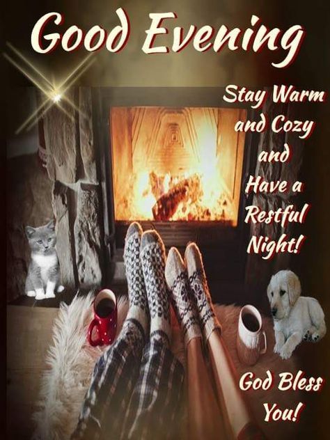 Good Evening! Good Night Cold Weather Quotes, Stay Warm Quotes, Cold Weather Funny, Cold Weather Quotes, Warm Quotes, Teddy Bear Quotes, Beautiful Good Night Quotes, Good Evening Greetings, Weather Quotes