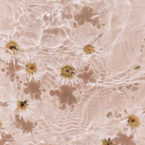 Water With Flowers, Foto Muro Collage, Water Aesthetic, Wallpaper Disney, Fotografi Vintage, Pink Water, Wallpaper Tumblr, Wallpaper Pastel, Flowers Wallpaper