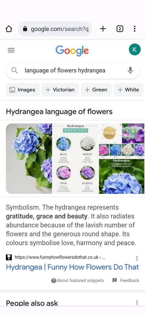 Meaning of hydrangea Hydrangea Meaning, Hydrangea Care, Language Of Flowers, White Hydrangea, Summer Feeling, Hydrangea, Wedding Flowers, Meant To Be, Blue And White