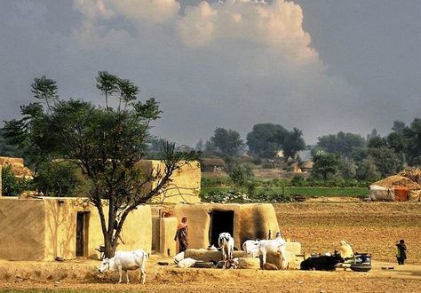 Punjab Culture, Pakistan Culture, Punjabi Culture, Mud House, Pakistan Travel, Punjab Pakistan, Village Photos, Theme Tattoo, Rural India