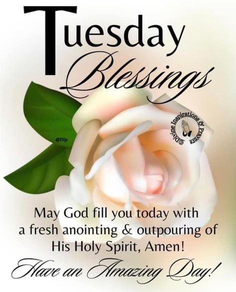 Tuesday Blessings Mornings, Good Morning Tuesday Blessings, Blessed Sabbath, Tuesday Morning Quotes, Blessed Tuesday, Thursday Prayer, Have A Blessed Day Inspiration, Happy Friday Morning, Good Morning Afternoon Evening Night