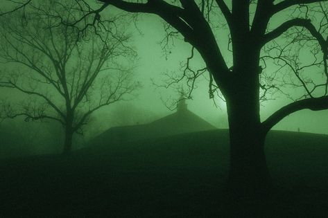 Witch Aesthetic Green, Aesthetic Pictures Dark, Green Witch Aesthetic, Dark Naturalism, Dark House, Modern Magic, Aesthetic Green, Gothic Aesthetic, Witch Aesthetic