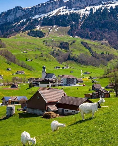 Train In Europe, Swiss Village, Beautiful Landscape Photography, Beautiful Villages, Swiss Alps, The Alps, Western Europe, Bern, Beautiful Places To Travel