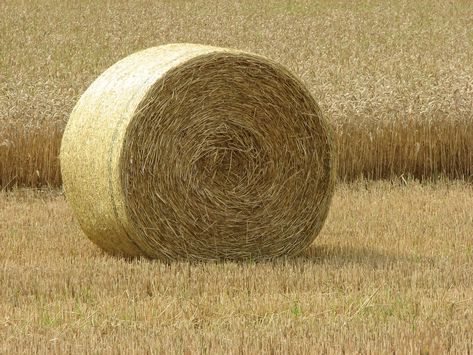 Bale Of Hay, Android Wallpaper Dark, Fields Of Gold, Hay Bales, Cowboy Art, Old Trucks, The Field, Beauty And The Beast, Labor