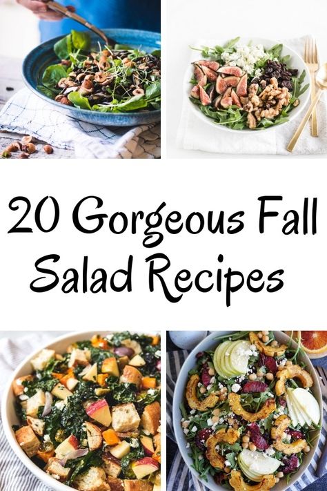 These 20 fall salad recipes are perfect for a dinner party! Using seasonal ingredients, there is something for everyone's taste buds. From apples to pears, persimmons and kale, this roundup is some of the best recipes out there! These salads feed a crowd, and are all heart and easy recipes for parties!#fallsalads #fallsaladroundup #fallsaladrecipes #fallrecipes #saladrecipe #saladsforentertaining #recipesforadinnerparty Fall Salad Recipes, Filling Salad Recipes, Autumn Salad Recipes, Salads For A Crowd, Fall Salad, Fall Dinner Party, Easy Autumn Recipes, Fall Recipes Healthy, Autumn Salad