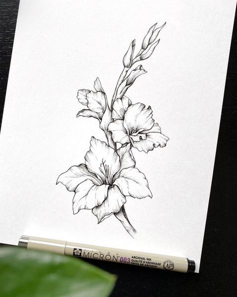 Gladiolus Flower Tattoos, Flower Sketch Pencil, Gladiolus Tattoo, Gladiolus Flower, Happy April, Flower Sketches, Flower Tattoo Designs, Piercing Tattoo, Pencil Drawing