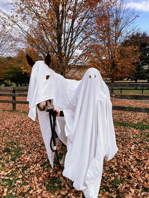 #ghosttrend #animalasaghost #horseghost #apookycostume #animalcostume Skeleton Horse Aesthetic, Horse Ghost Costume, Halloween Horse Wallpaper, Halloween Horse Photoshoot, Horse Halloween Ideas, Ghost Horse, Halloween Customs, Equine Photography Poses, Horse Halloween Costumes