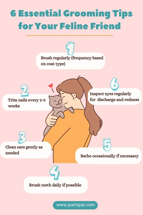 6 Essential Grooming Tips for Your Feline Friend How To Care For A Kitten, Cat Daily Care Checklist, How To Take Care Of Kittens, Cat Infographic, How To Care For Kittens Tips, How To Take Care Of Cats Tips, Ear Cleaning, Types Of Coats, Cat Care Tips