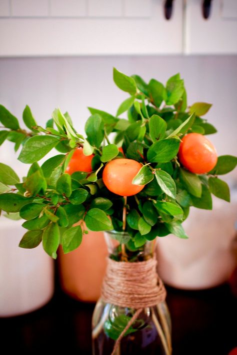 Clementine Centerpiece, Apple Centerpieces, Orange Centerpieces, Irfan Khan, Fruit Centerpieces, Orange Baby Shower, Greenery Arrangements, Easter Centerpiece, Orange Party