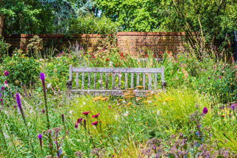 "Mix the seeds in a bowl, scatter in loose soil and then sit back and see what happens. Here are a few tips to maximize your success. You might find that you end up with far more produce for the effort invested than if you took the time to form perfect beds and plant everything in tidy rows." #nature #gardening #food #wildflowers Wild Backyard, Modern Farmer, Wild Garden, Pallet Planter, English Cottage Garden, Wildflower Garden, Native Garden, Natural Garden, Wildflower Seeds