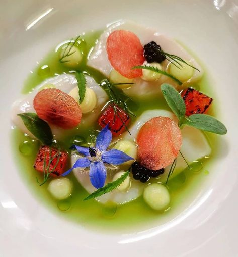 Ceviche Fine Dining, Ceviche Plating, Watermelon Ceviche, Cucumber Watermelon, Scallop Ceviche, Chef Jobs, Gourmet Food Plating, Art Of Plating, Sea Scallops