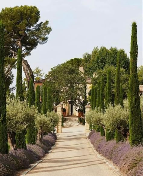 Italian Garden Design, Mediterranean Garden Design, Provence Garden, Tuscan Garden, Rustic Italian, Iris Garden, Italian Garden, Hello Lovely, Mediterranean Garden