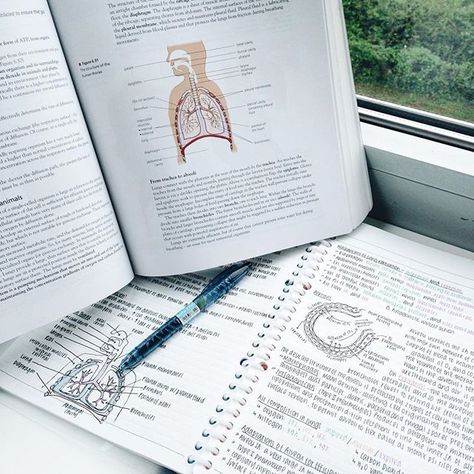 [to be posted on tumblr tonight, link in bio] aaahhh biology is killing me, my first biology exam is in 16 days #study #student #studying #work #working #studyblr #studygram #finals #revision #ib #biology #exams #vsco Biology Exam, 100 Days Of Productivity, خريطة ذهنية, Medical School Motivation, Medicine Student, Medical School Inspiration, Study Inspo, Study Aesthetic, Notes Inspiration