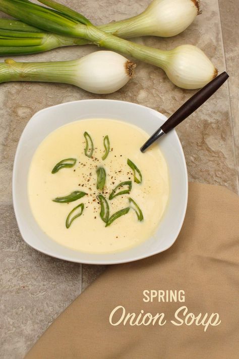 Spring Onion Soup Recipe, Recipes With Spring Onions, Spring Onion Soup, Spring Onion Recipes, Soup Maker Recipes, Spring Food, Curry Stew, Onion Soup Recipes, Csa Recipes