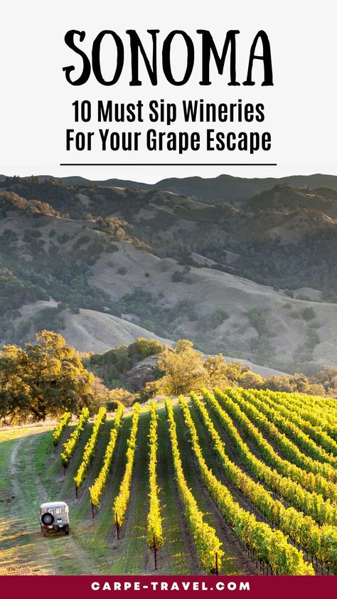 There 400+ wineries in Sonoma County, which makes narrowing down your choices extremely difficult, but these 10 are must-adds to your Sonoma wine tasting itinerary. Sonoma Wineries, California Winery, Wine Country Travel, Sonoma Wine Country, North America Travel Destinations, Sonoma Valley, Dream Vacations Destinations, Great Escape, Wine Country California