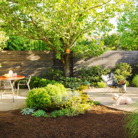 How to design a landscape both you and your pups will love Dog Friendly Landscaping, Dog Yards, Grassless Backyard, Dog Yard Ideas, Dog Friendly Garden, Dog Friendly Backyard, Dog Backyard, Backyard Decorations, Large Backyard Landscaping