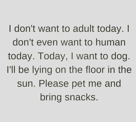 Definitely how I feel most of the times... I hate adulting Reality Check, E Card, Sarcastic Quotes, Bones Funny, The Words, Great Quotes, Happy Friday, Favorite Quotes, I Laughed