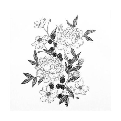 Blackberries and peonies by @boegekaer via @boegekaer_art  #blackworknow if you would like to be…" Blackberry Tattoo, Tattoo Art Design, Blackberry Fruit, Tattoo Roses, Fruit Tattoo, Tattoo Floral, Branch Tattoo, Floral Stencil, Black And White Illustrations