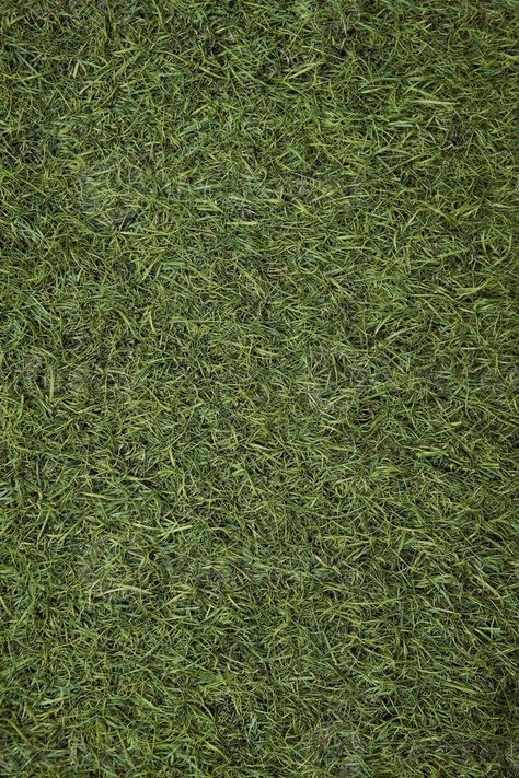 Top view of artificial green grass texture. Fake Grass used on sports fields for soccer, baseball, golf, football, playground, and garden. Synthetic grass for nature, sport, or abstract background Grass Texture Seamless, Green Grass Texture, Grass Material, Dirt Texture, Png Top, Grass Texture, Sea Point, Grass Background, Grass Pattern