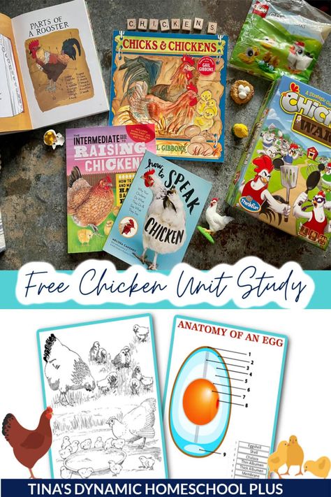 1st Grade Unit Studies, 1st Grade Unit Studies Homeschool, Spring Homeschool Lessons, Farm Homeschool Activities, Farm Stem Activities, Free Homeschool Unit Studies, Chicken Unit Study, Easter Unit Study, Chicken Homeschool Unit